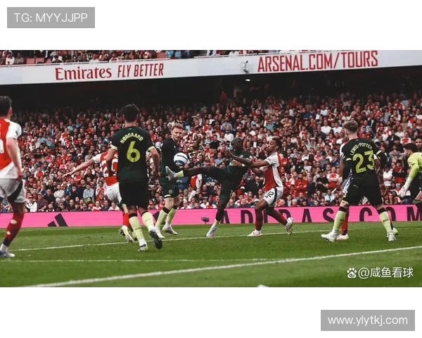 布莱顿持续提升攻击火力，英超表现备受关注